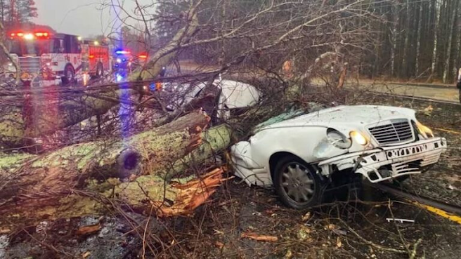 Beloved comedian died today in a tragic accident after a large tree branch fell on top of him.